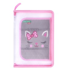 Папка для труда на молнии BRAUBERG KIDS А4, 1 отделение, прозрачная, органайзер, 