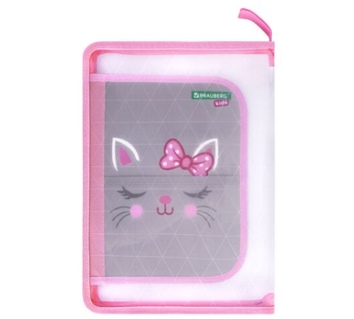 Папка для труда на молнии BRAUBERG KIDS А4, 1 отделение, прозрачная, органайзер, 