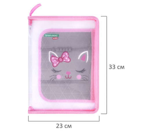 Папка для труда на молнии BRAUBERG KIDS А4, 1 отделение, прозрачная, органайзер, 
