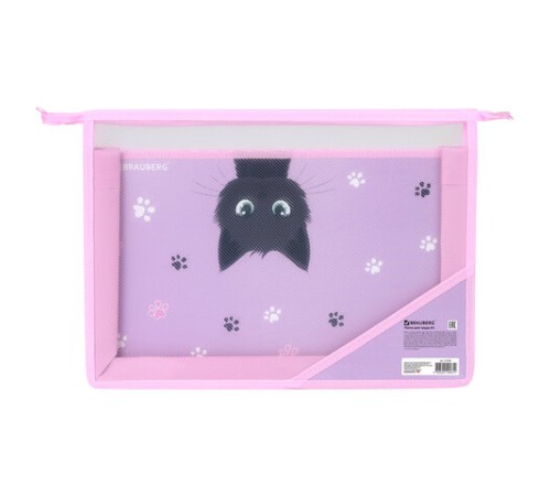 Папка для труда BRAUBERG А4, 2 отделения, пластик, молния сверху, органайзер, 