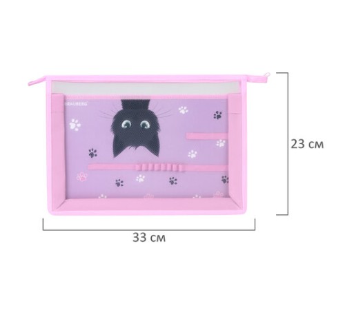 Папка для труда BRAUBERG А4, 2 отделения, пластик, молния сверху, органайзер, 