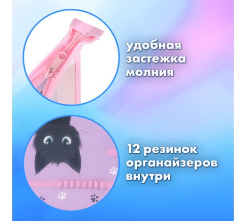 Папка для труда BRAUBERG А4, 2 отделения, пластик, молния сверху, органайзер, 