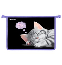 Папка для труда на молнии BRAUBERG А4, 2 отделения, органайзер, 