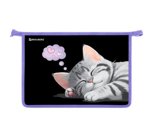 Папка для труда на молнии BRAUBERG А4, 2 отделения, органайзер, 