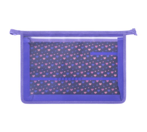 Папка для труда на молнии BRAUBERG А4, 2 отделения, органайзер, 