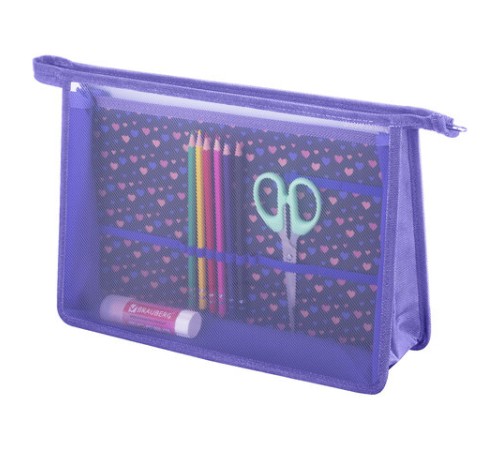 Папка для труда на молнии BRAUBERG А4, 2 отделения, органайзер, 