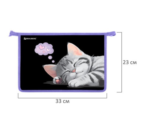 Папка для труда на молнии BRAUBERG А4, 2 отделения, органайзер, 