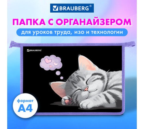 Папка для труда на молнии BRAUBERG А4, 2 отделения, органайзер, 