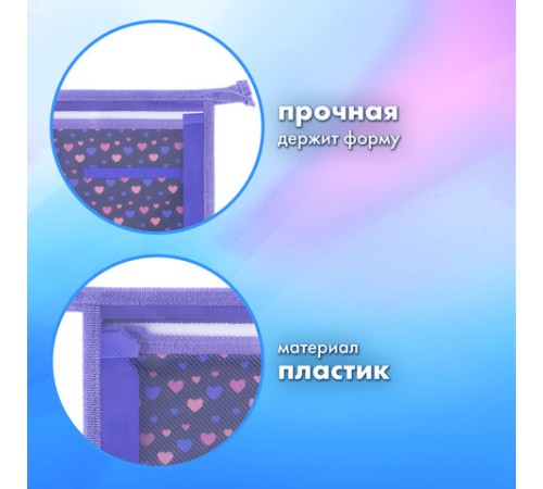 Папка для труда на молнии BRAUBERG А4, 2 отделения, органайзер, 