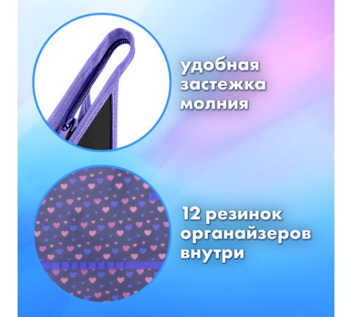 Папка для труда на молнии BRAUBERG А4, 2 отделения, органайзер, 