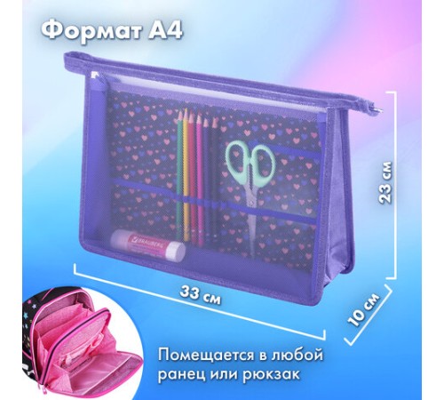 Папка для труда на молнии BRAUBERG А4, 2 отделения, органайзер, 