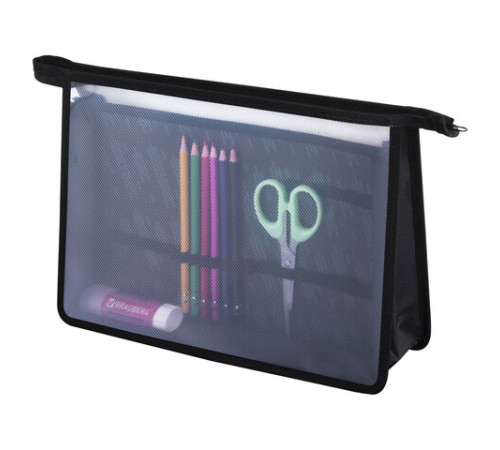 Папка для труда на молнии BRAUBERG А4, 2 отделения, органайзер, 