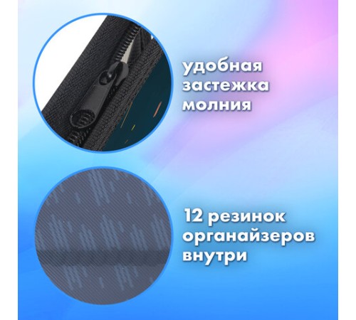 Папка для труда на молнии BRAUBERG А4, 2 отделения, органайзер, 