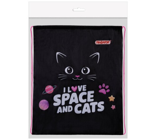 Мешок для обуви ПИФАГОР, 1 отделение, 42х34 см, 