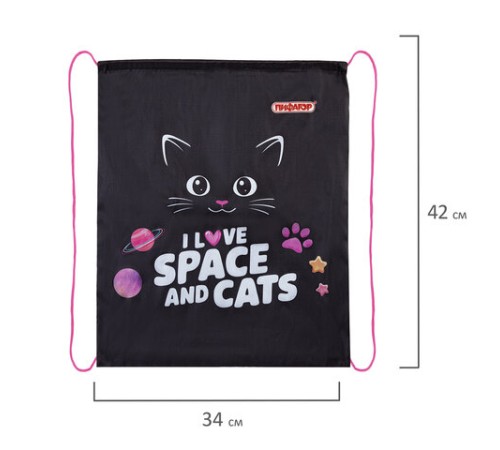 Мешок для обуви ПИФАГОР, 1 отделение, 42х34 см, 