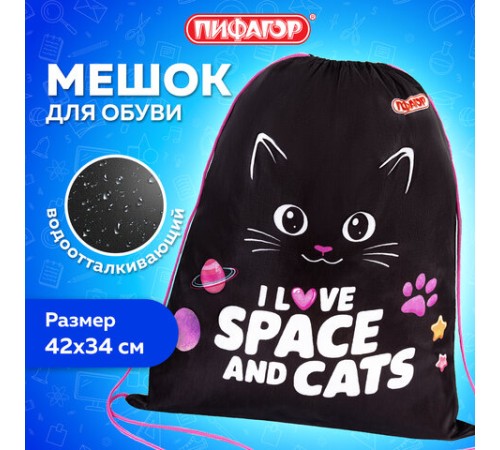 Мешок для обуви ПИФАГОР, 1 отделение, 42х34 см, 