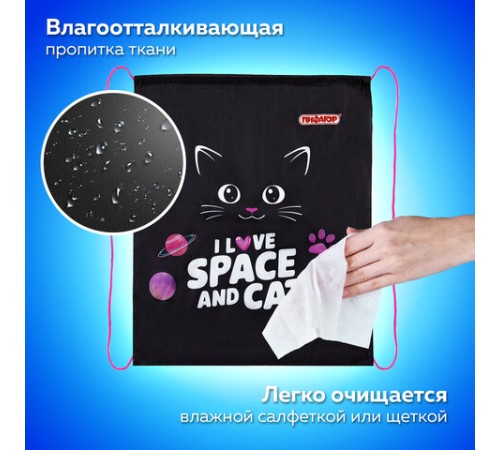 Мешок для обуви ПИФАГОР, 1 отделение, 42х34 см, 