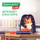 Мешок для обуви BRAUBERG KIDS, с петлей, 42х34 см, 