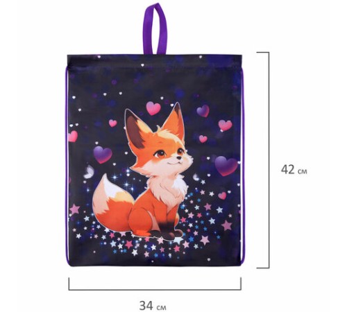 Мешок для обуви BRAUBERG KIDS, с петлей, 42х34 см, 