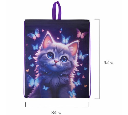 Мешок для обуви BRAUBERG KIDS, с петлей, 42х34 см, 