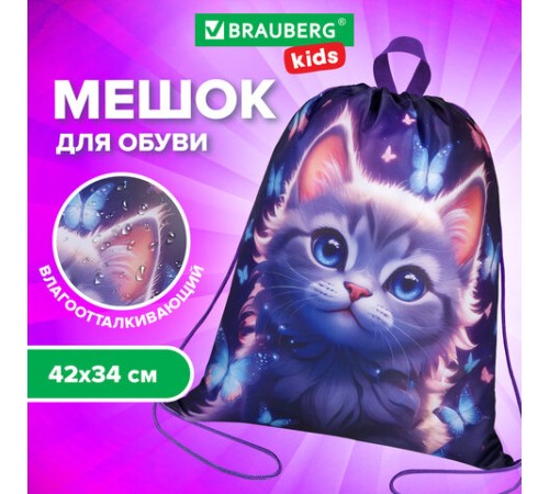 Мешок для обуви BRAUBERG KIDS, с петлей, 42х34 см, 