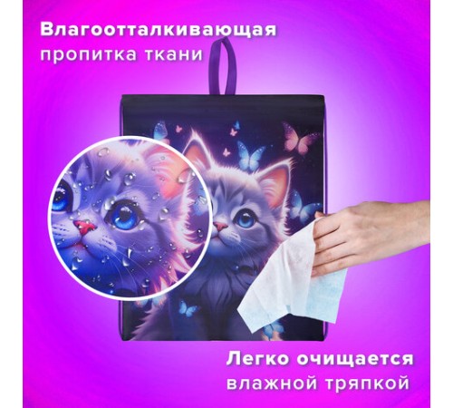 Мешок для обуви BRAUBERG KIDS, с петлей, 42х34 см, 