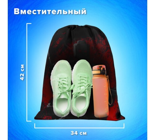 Мешок для обуви BRAUBERG KIDS, с петлей, 42х34 см, 