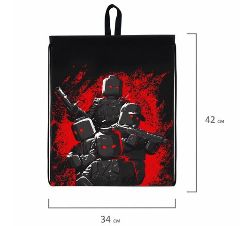 Мешок для обуви BRAUBERG KIDS, с петлей, 42х34 см, 