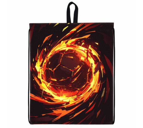 Мешок для обуви BRAUBERG KIDS, с петлей, 42х34 см, 