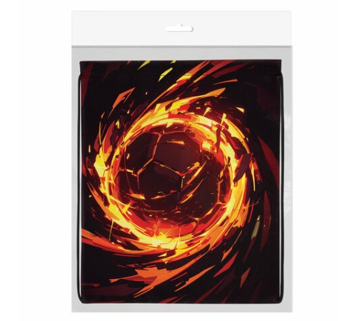 Мешок для обуви BRAUBERG KIDS, с петлей, 42х34 см, 