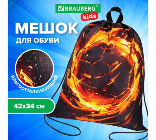 Мешок для обуви BRAUBERG KIDS, с петлей, 42х34 см, 