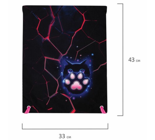 Мешок для обуви BRAUBERG PREMIUM, карман, подкладка, светоотражайка, 43х33 см, 