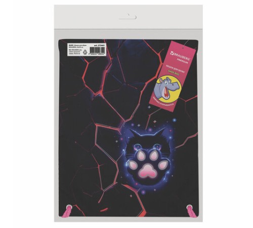 Мешок для обуви BRAUBERG PREMIUM, карман, подкладка, светоотражайка, 43х33 см, 