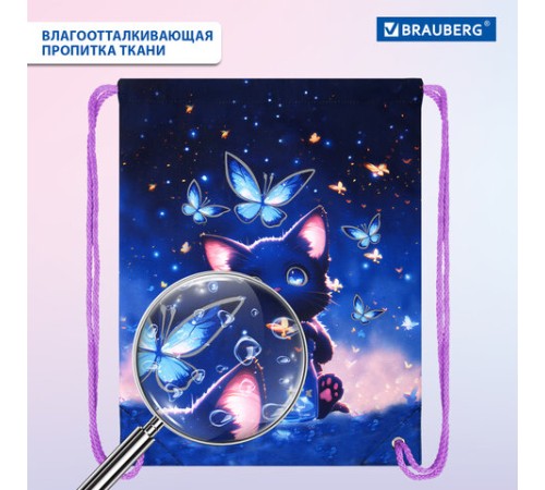 Мешок для обуви BRAUBERG PREMIUM, карман, подкладка, светоотражайка, 43х33 см, 