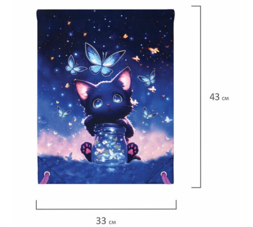 Мешок для обуви BRAUBERG PREMIUM, карман, подкладка, светоотражайка, 43х33 см, 