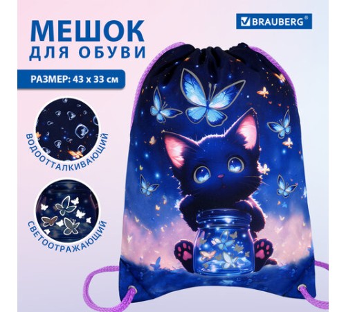 Мешок для обуви BRAUBERG PREMIUM, карман, подкладка, светоотражайка, 43х33 см, 