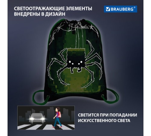 Мешок для обуви BRAUBERG PREMIUM, карман, подкладка, светоотражайка, 43х33 см, 