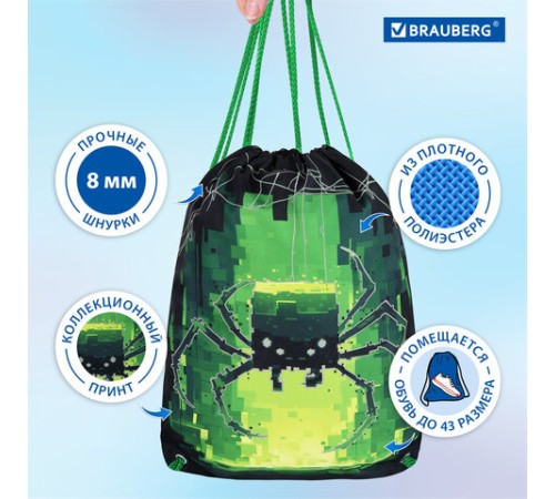 Мешок для обуви BRAUBERG PREMIUM, карман, подкладка, светоотражайка, 43х33 см, 