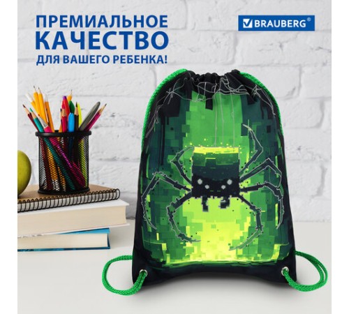 Мешок для обуви BRAUBERG PREMIUM, карман, подкладка, светоотражайка, 43х33 см, 