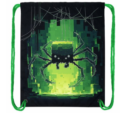 Мешок для обуви BRAUBERG PREMIUM, карман, подкладка, светоотражайка, 43х33 см, 