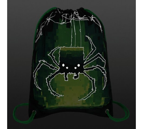 Мешок для обуви BRAUBERG PREMIUM, карман, подкладка, светоотражайка, 43х33 см, 