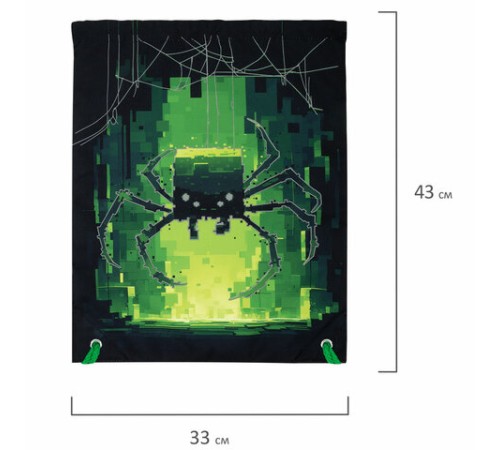 Мешок для обуви BRAUBERG PREMIUM, карман, подкладка, светоотражайка, 43х33 см, 