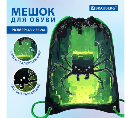 Мешок для обуви BRAUBERG PREMIUM, карман, подкладка, светоотражайка, 43х33 см, 