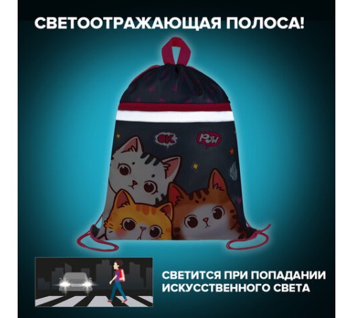 Мешок для обуви BRAUBERG, с петлей, светоотражающая полоса, 2 отделения, 46х36 см, 