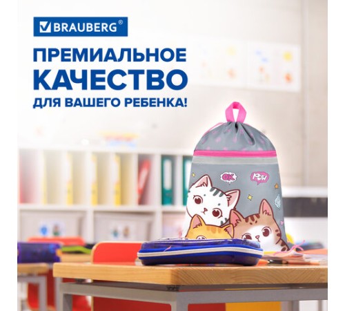 Мешок для обуви BRAUBERG, с петлей, светоотражающая полоса, 2 отделения, 46х36 см, 