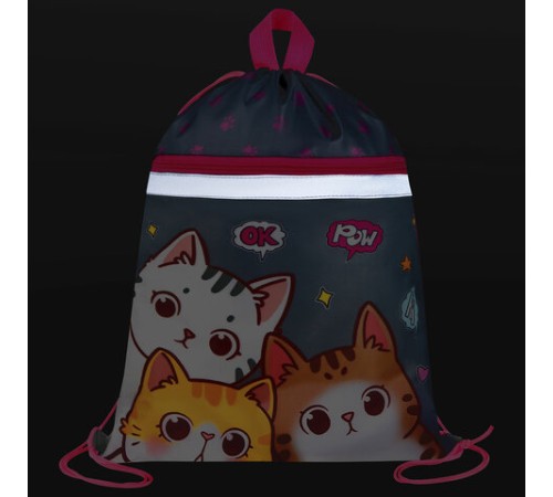 Мешок для обуви BRAUBERG, с петлей, светоотражающая полоса, 2 отделения, 46х36 см, 