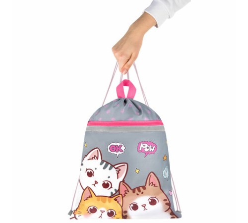 Мешок для обуви BRAUBERG, с петлей, светоотражающая полоса, 2 отделения, 46х36 см, 