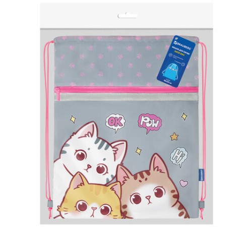 Мешок для обуви BRAUBERG, с петлей, светоотражающая полоса, 2 отделения, 46х36 см, 