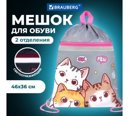 Мешок для обуви BRAUBERG, с петлей, светоотражающая полоса, 2 отделения, 46х36 см, 