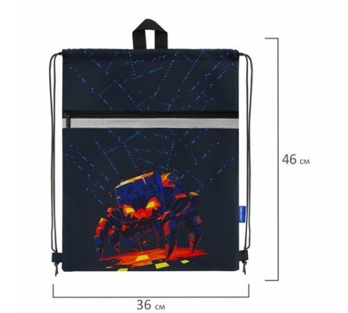 Мешок для обуви BRAUBERG, с петлей, светоотражающая полоса, 2 отделения, 46х36 см, 